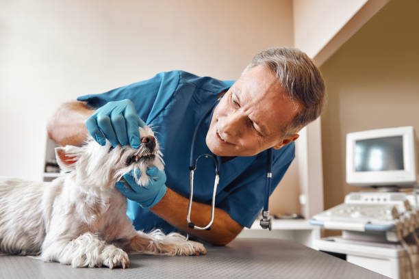 Best Emergency Wisdom Teeth Removal in Golden Glades, FL